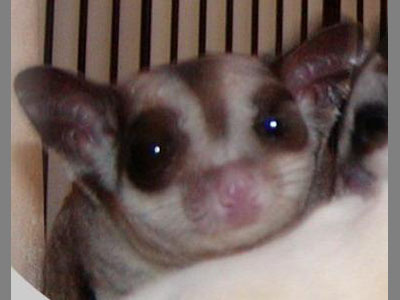 photo of Gabby